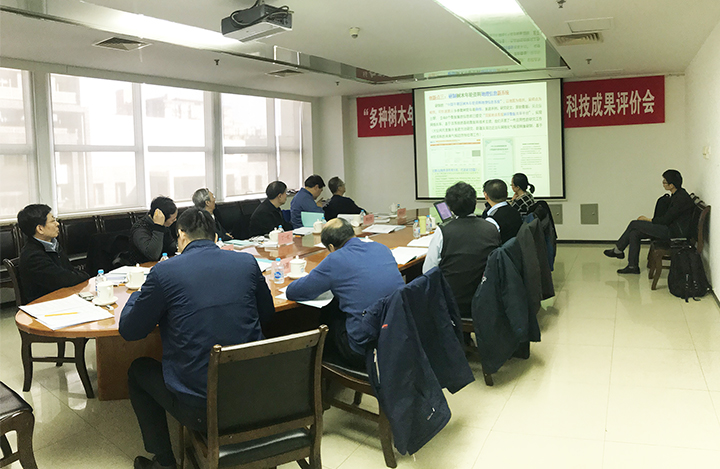 多种树木年轮参数获取技术研发及应用 anli.jpg